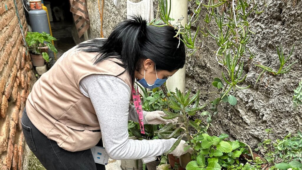 Refuerza SSJ acciones contra el dengue en colonias  afectadas por lluvias