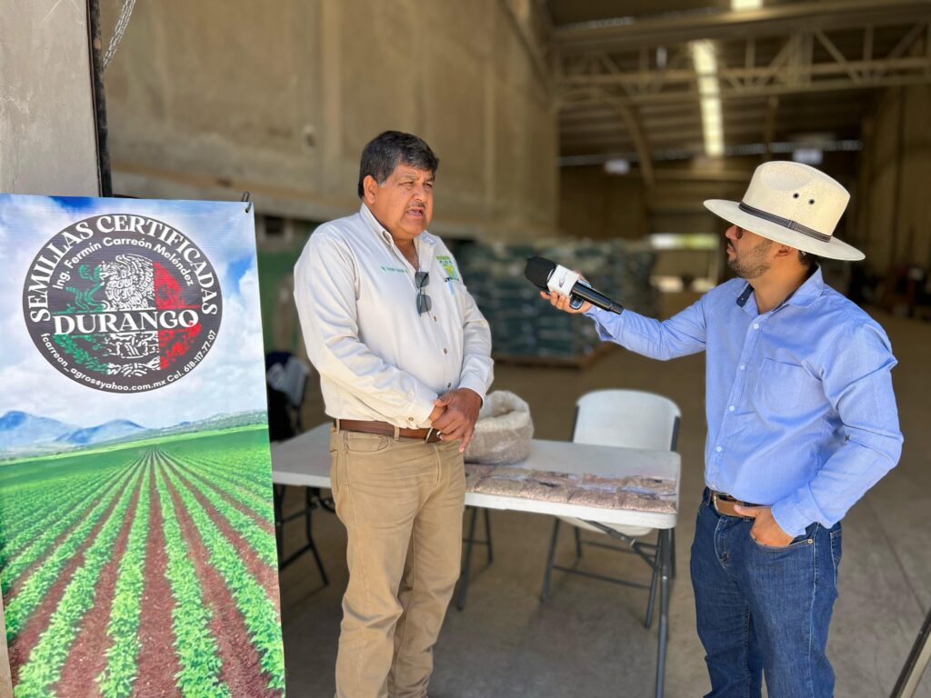 Agricultores de la región tienen 15 días clave para sembrar frijol pinto: recomiendan usar semilla certificada