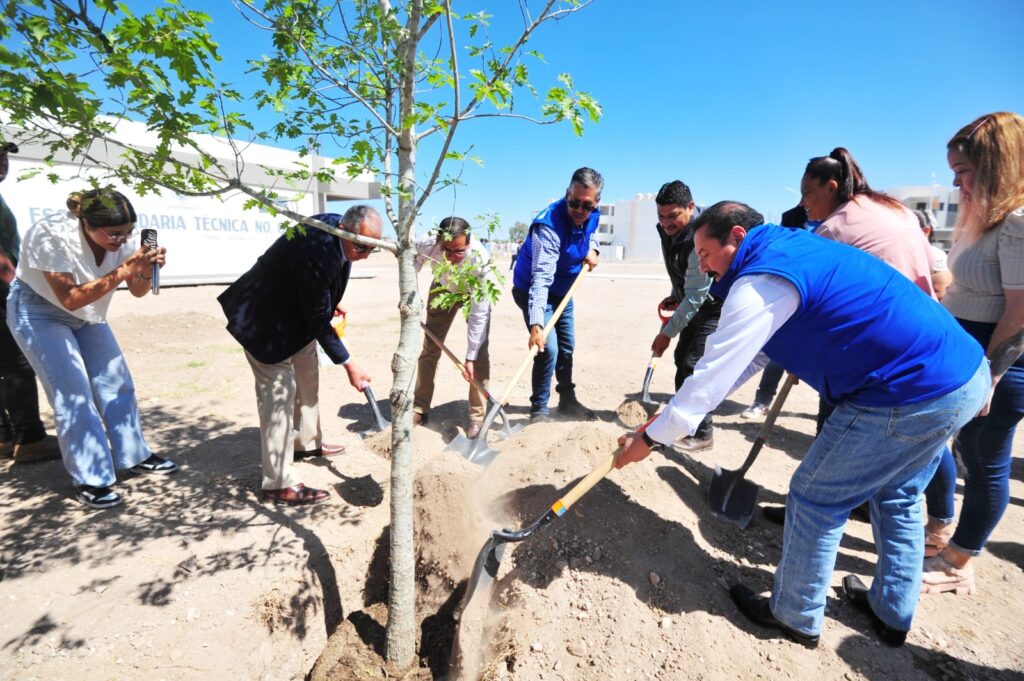 Por quinta ocasión, entregan reconocimiento “Tree Cities of the World” al gobierno capitalino