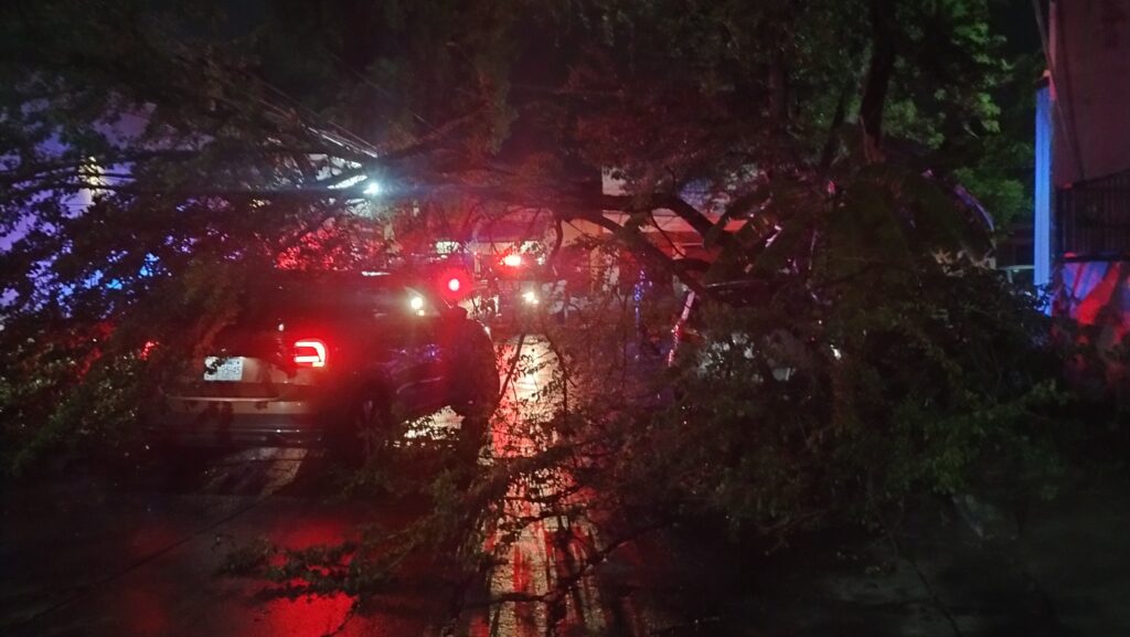 Rescatan a mujer atrapada en su vehículo tras caída de árbol en Zapopan