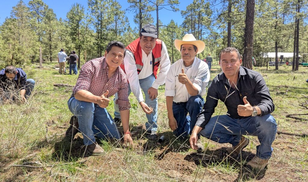 Ejido El Brillante impulsa reforestación con 8 mil árboles
