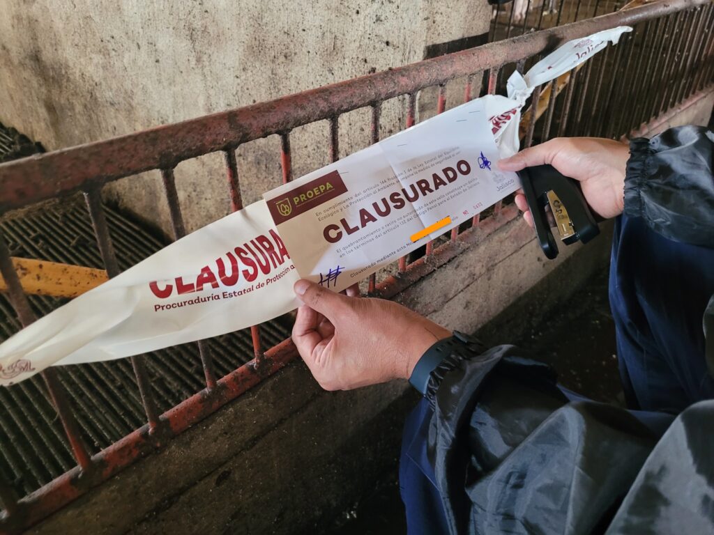 Clausuran 25 establecimientos en junio por incumplir normativas ambientales