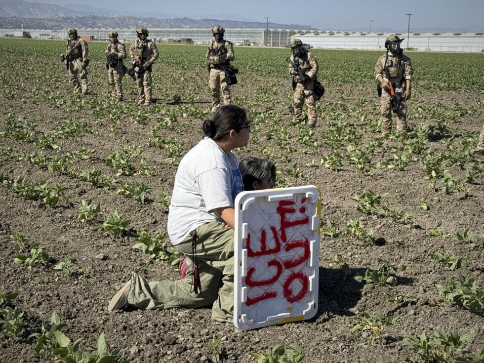 Migrantes paralizan labores agrícolas en EU en protesta contra redadas del ICE