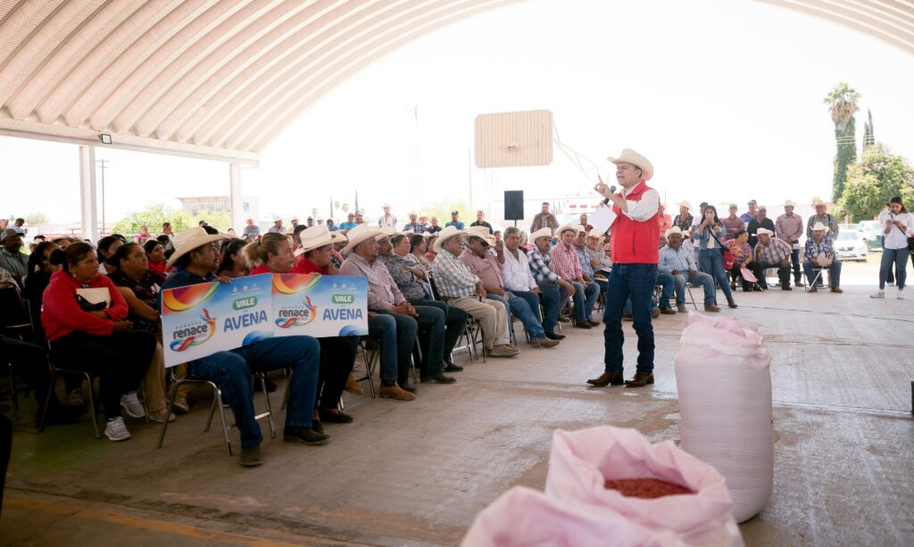 Con apoyo de Esteban, productores de Simón Bolívar ya siembran avena y aseguran alimento para su ganado
