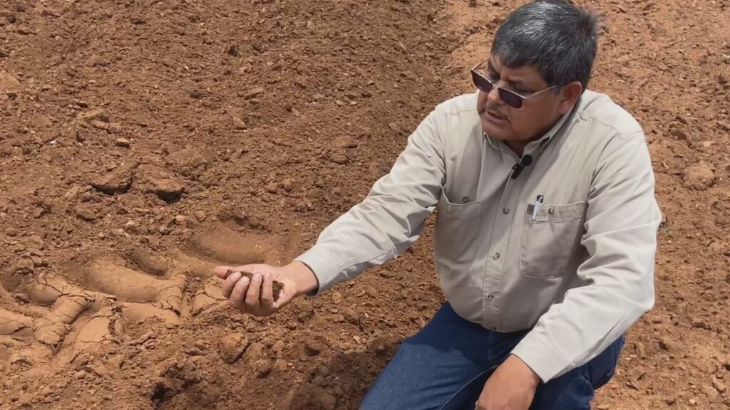 Revisar la calidad de la tierra, paso esencial al iniciar la siembra