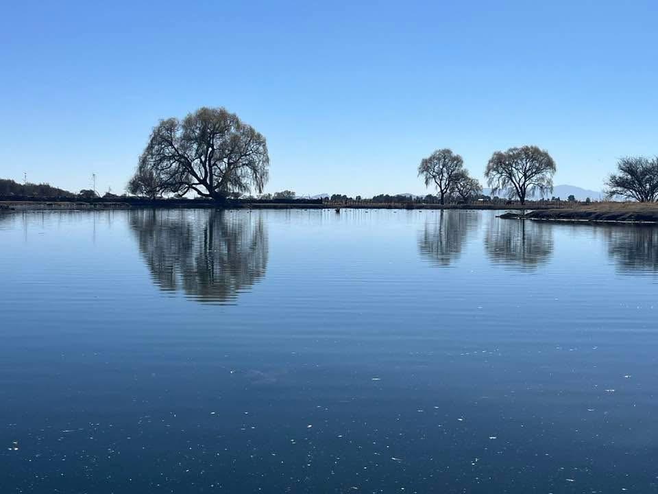 Sequía disminuye en Durango y presas se recuperan: Conagua