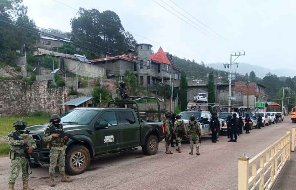 Destruyen campamento delictivo en Guadalupe y Calvo