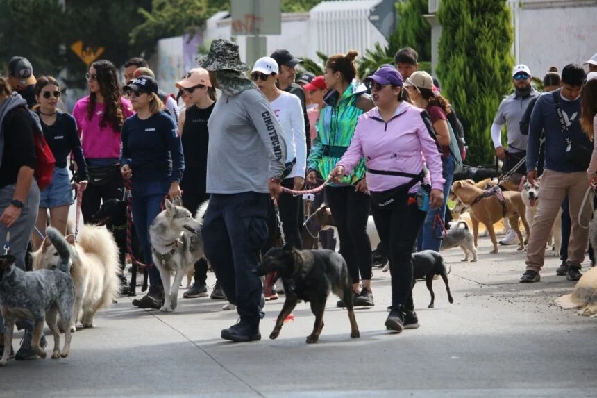Todo listo para el 2º Paseo Canino 2025 en Santiago Papasquiaro