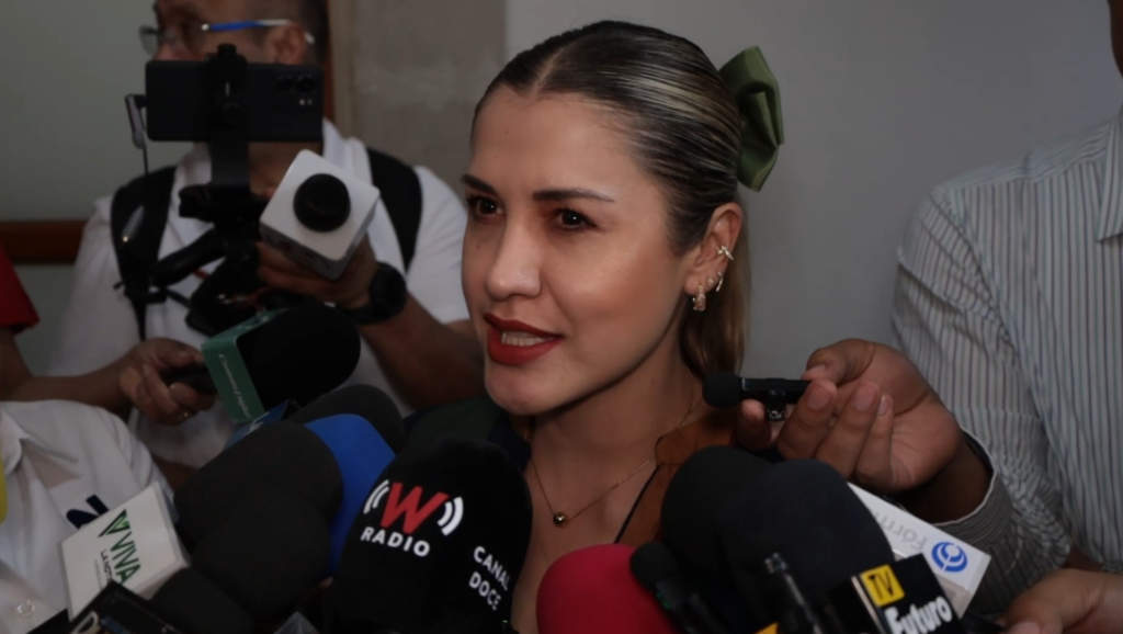 Ley espía y ley censura vulneran derechos: Vázquez Chacón