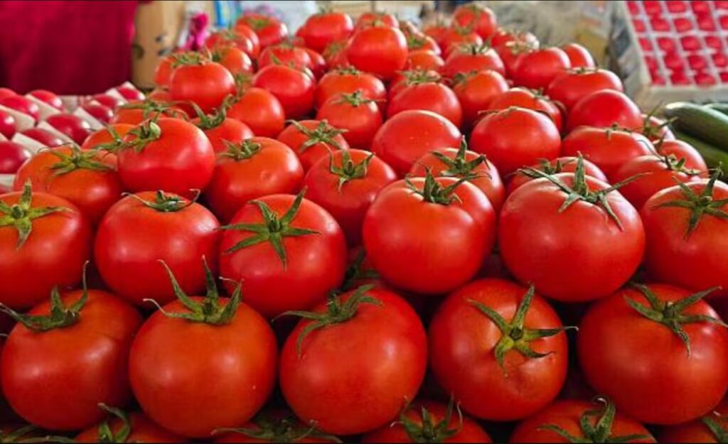 Casa Blanca afirma que arancel al jitomate mexicano beneficia a agricultores de EU