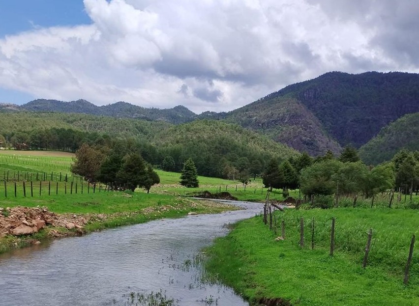 Ejidos de Durango ganan dinero cuidando el bosque con bonos de carbono