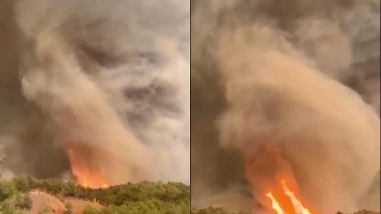VIDEO: Impactante tornado de fuego arrasa bosque en Turquía