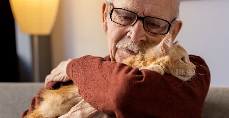 Su último deseo: que su gata no se quede sola… ofrece casa y su herencia por un corazón sincero