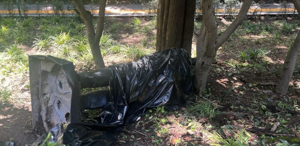 Derrumbe de estatua de Felipe Calderón en Los Pinos: causas y consecuencias