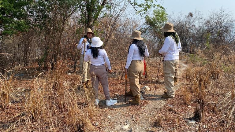 Madres buscadoras localizan a 3 niñas sin vida en Sonora; estaban abrazadas