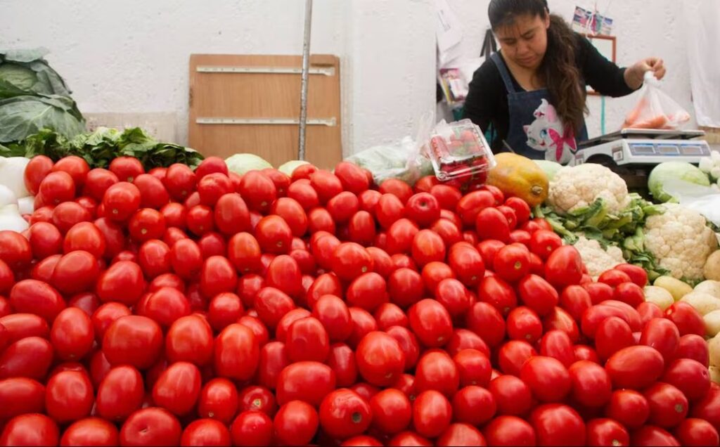 México busca nuevos mercados para su jitomate tras aranceles de EU