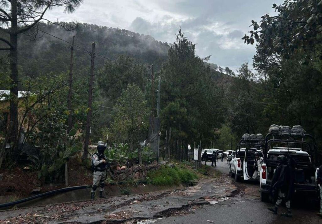 Hallan dos ejecutados tras reporte de balaceras en Guadalupe y Calvo