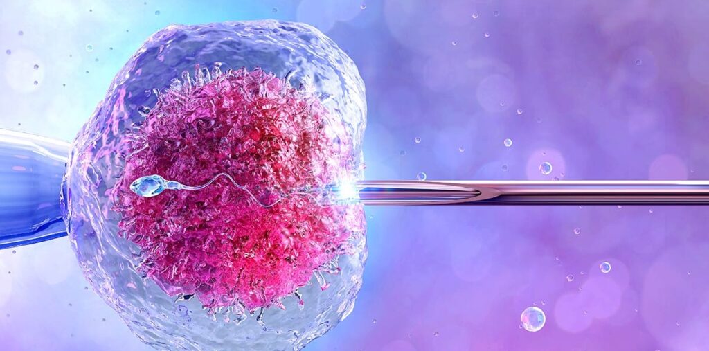 Nacen bebés con ADN de tres personas y sin enfermedades hereditarias: la ciencia rompe barreras genéticas