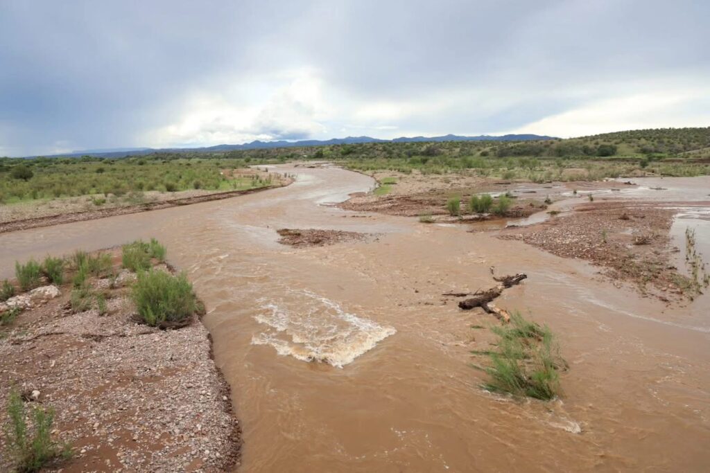 De crisis a recuperación: sorprende como Durango salió de la sequía