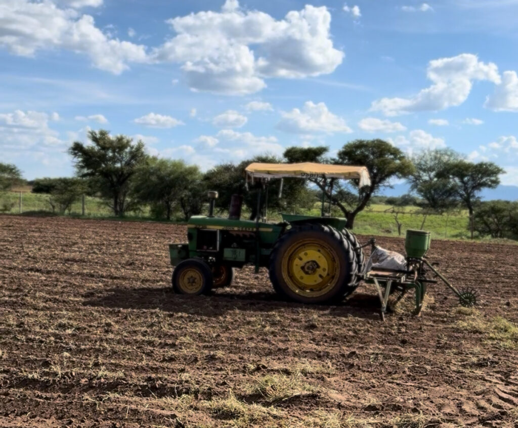 Productores del Valle de Poanas siembran en seco ante falta de lluvias y apoyos
