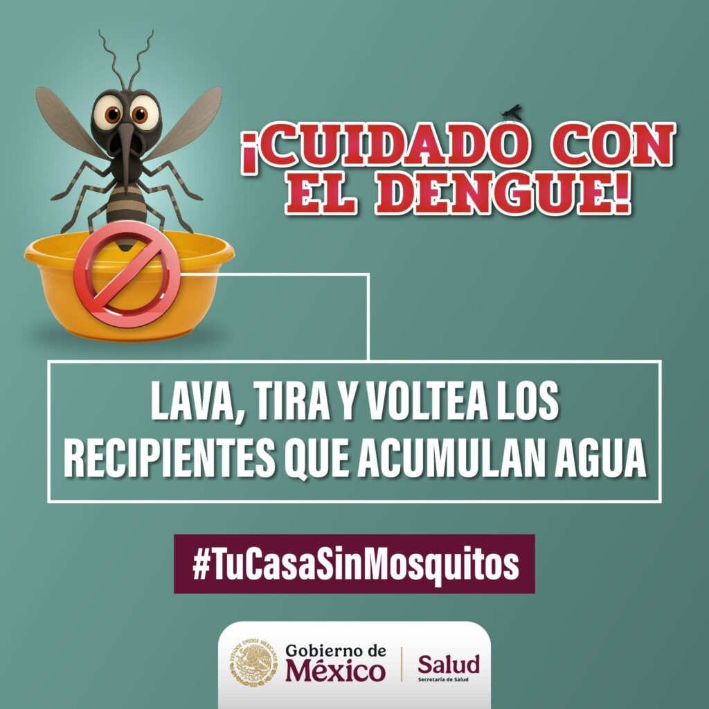 Refuerzan medidas para prevenir el dengue: llaman a eliminar criaderos de mosquitos