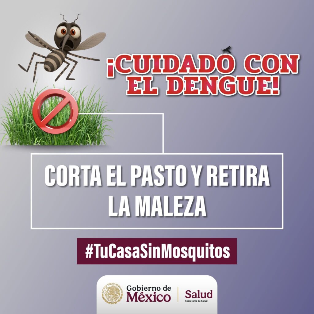 Secretaría de Salud exhorta a cortar pasto y eliminar maleza para prevenir el dengue en la región