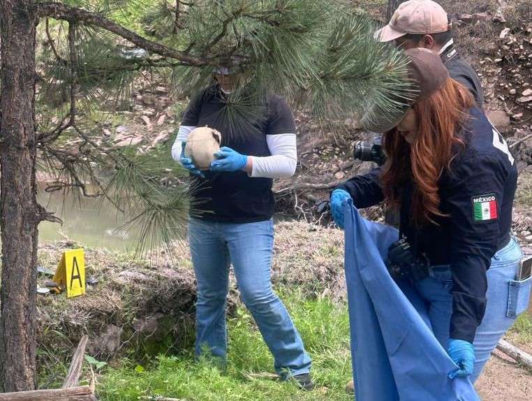 Encuentran cráneo humano fue localizado en el municipio de Bocoyna