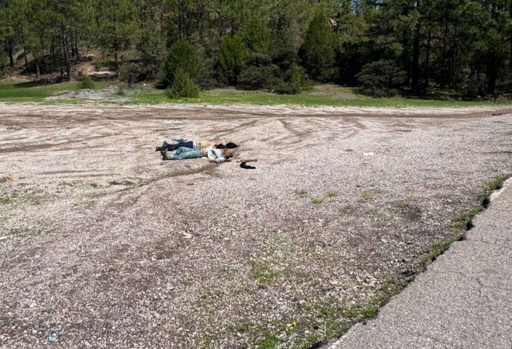 Hallan a dos hombres asesinados cerca de la carretera San Pedro-Basaseachi