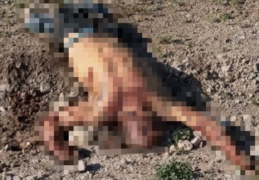 Hombre es asesinado, torturado y castrado en camino de terracería cercano a Allende