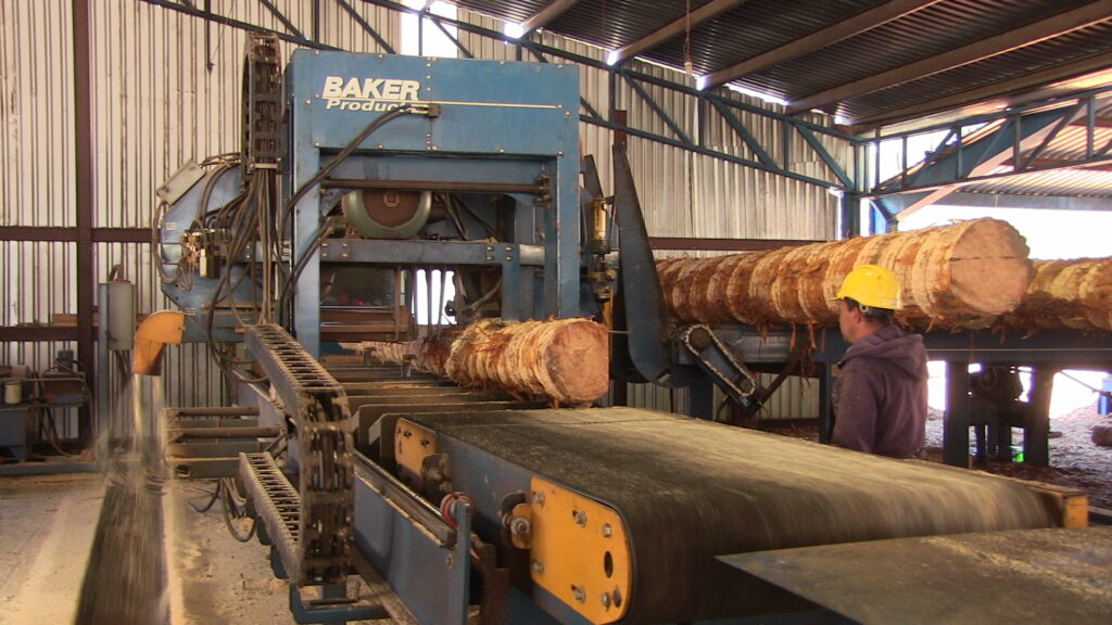 Industria maderera enfrenta crisis y golpea economía local