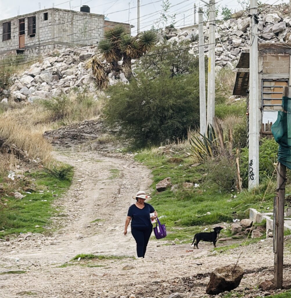 CFE deja sin energía eléctrica a tres casas en Durango. Vecinos urgen solución por riesgos a la salud y seguridad.