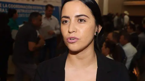 Por lo menos 8 negocios en Guadalupe y Calvo han cerrado por violencia : Alcaldesa