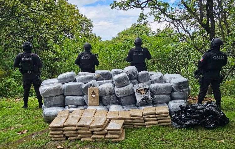 Aseguran más de 2 millones de dosis de aparente marihuana en Ahualulco
