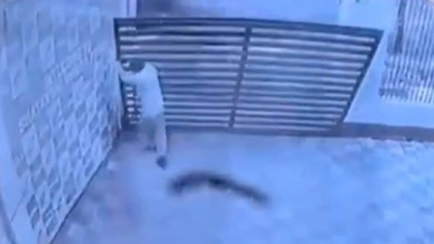 VIDEO: Guardia muere aplastado por un portón