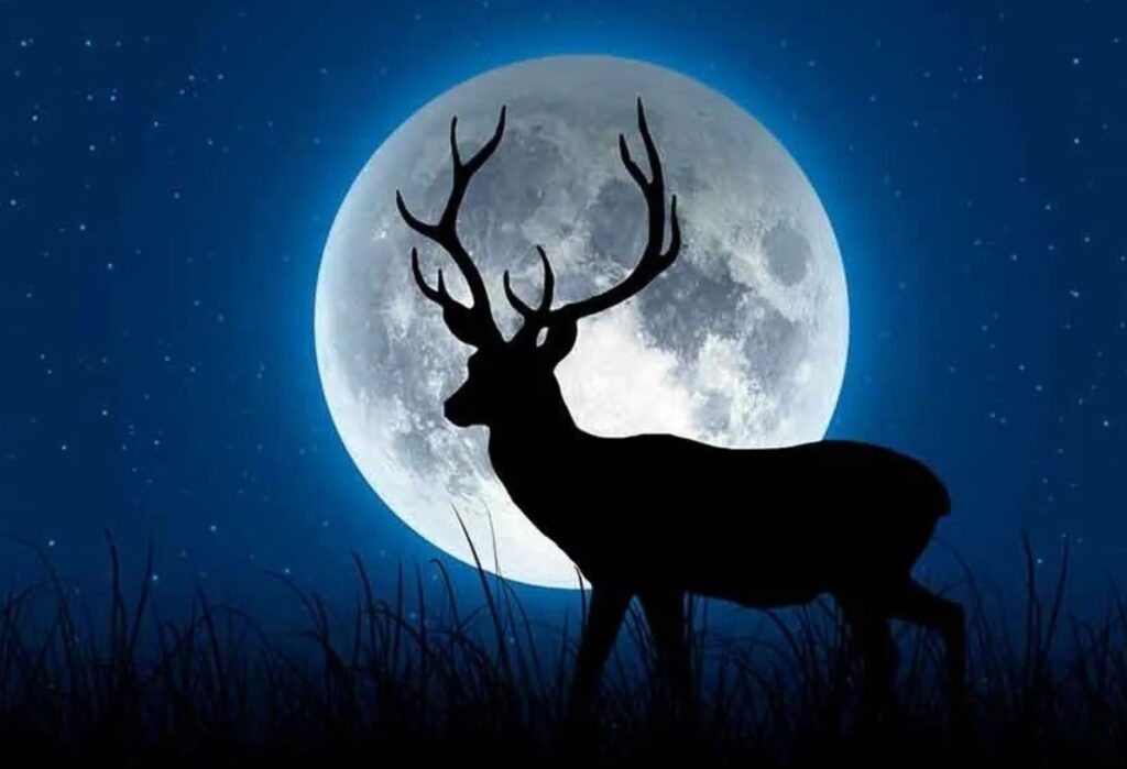 Esta noche la Luna de Ciervo ilumina el cielo: hora exacta, significado místico y cómo verla en su punto máximo