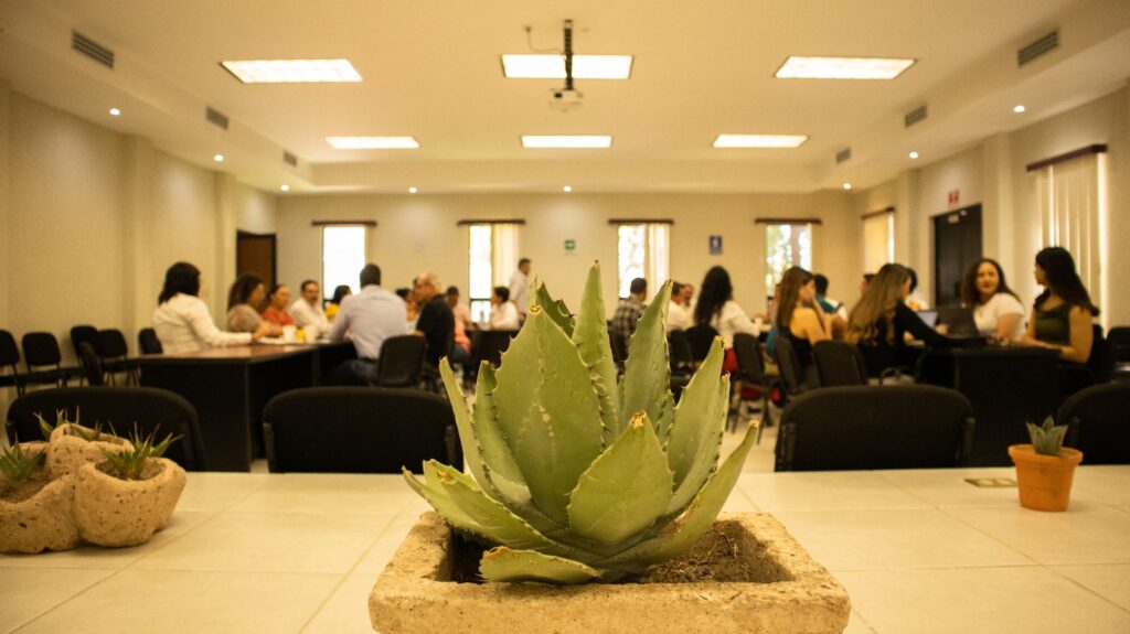 Construyen iniciativa de ley para salvar mezcal de Durango del rezago