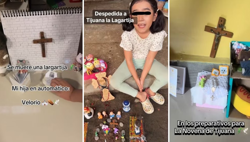 Niña organiza Funeral Completo para una lagartija