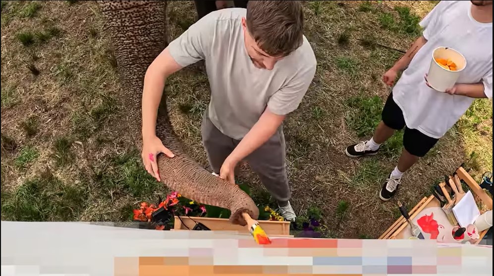 MrBeast es acusado por presunta explotación animal
