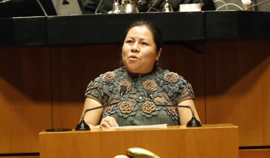 Senadora de Morena instala canal digital para impulsar saberes parteros