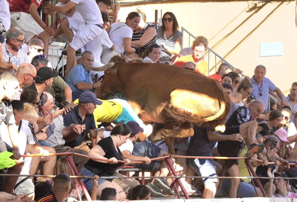 VIDEO: Toro «vuela» sobre la barrera y siembra el pánico en fiesta patronal