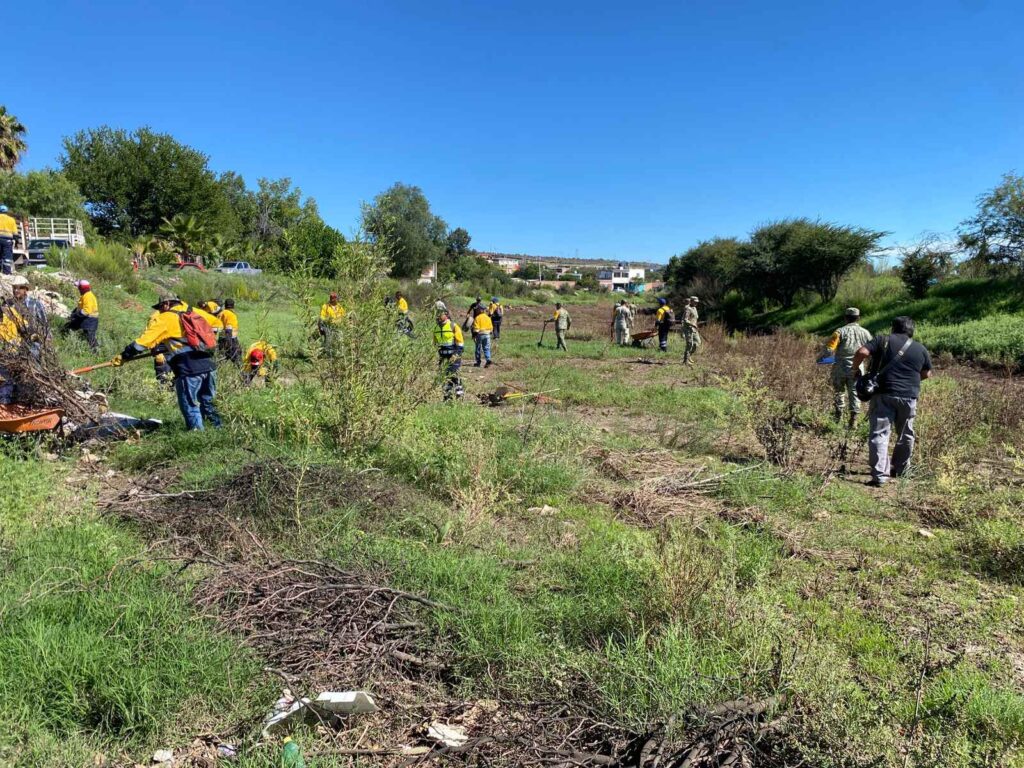 Para reducir riesgos por la temporada de lluvias realizan limpieza preventiva en el río la Sauceda