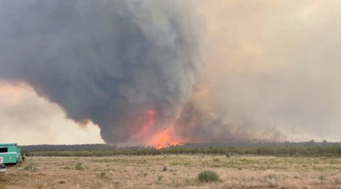 VIDEO: Captan gigantesco tornado de fuego que arrasó 36 km²