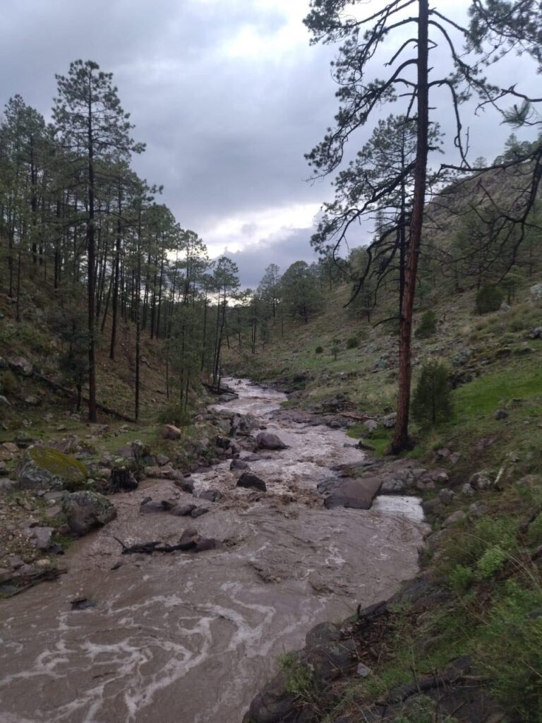 Lluvias en Durango superan promedio histórico en junio: Conagua