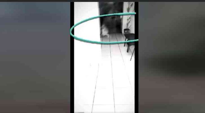 VIDEO: Terror en la comandancia: graban supuesto “niño fantasma” corriendo en oficinas