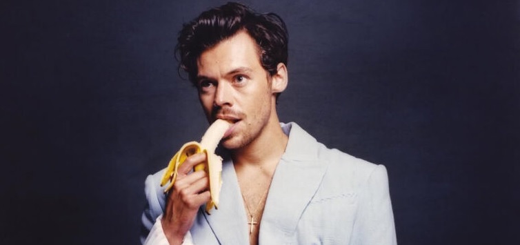 Harry Styles lanza vibradores y lubricantes de lujo: “Complácete con convicción”