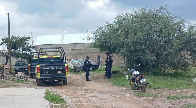 Encuentran cuerpo de bebé en baldío y perros ya lo habían semidevorado