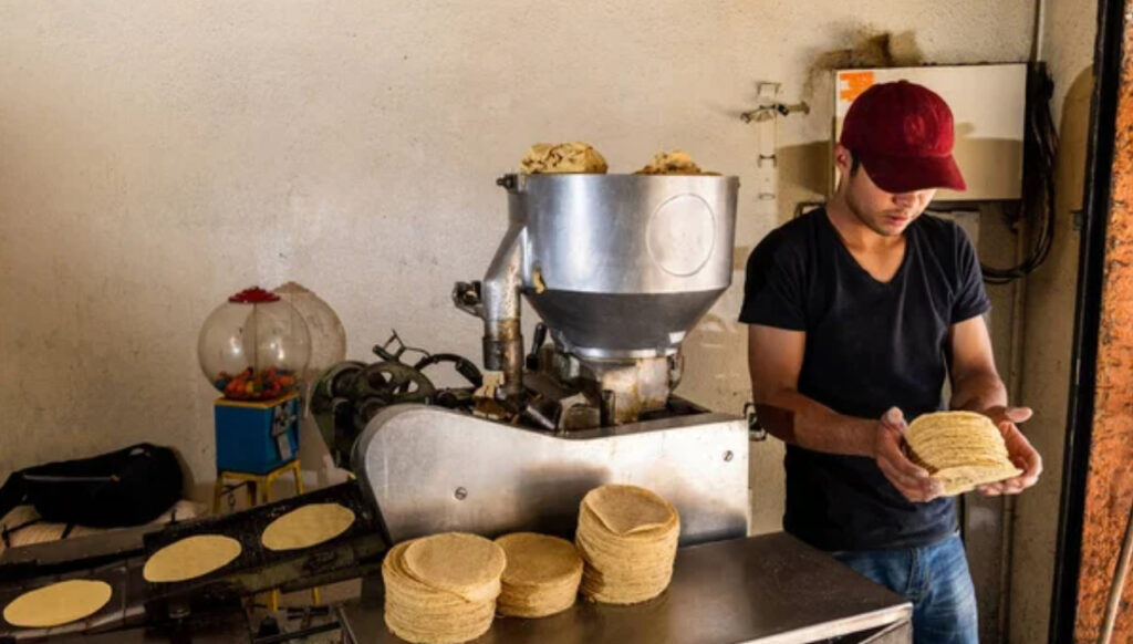 Inicia convocatoria para Acuerdo Nacional Maíz-Tortilla