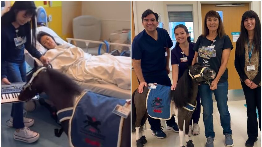 Pony visita a un niño en el hospital y le arranca sonrisas con su música