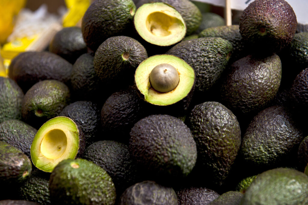 México consolida producción de aguacate con acuerdo de exportación a Brasil