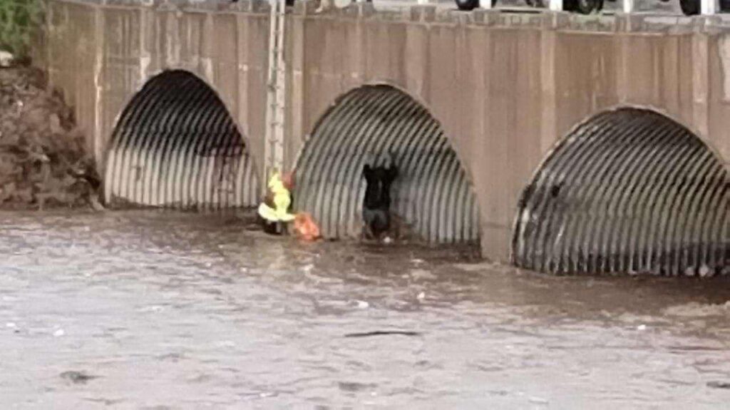Rescatan a hombre debajo de puente en la Vialidad Sacramento